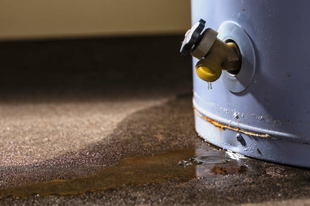 Best Water damage contractors near me  in Allison Rk, PA
