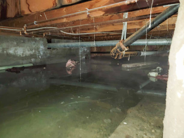 Best Water damage contractors near me  in Allison Rk, PA