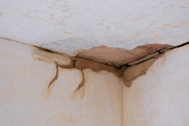Best 24-hour water damage restoration  in Allison Rk, PA