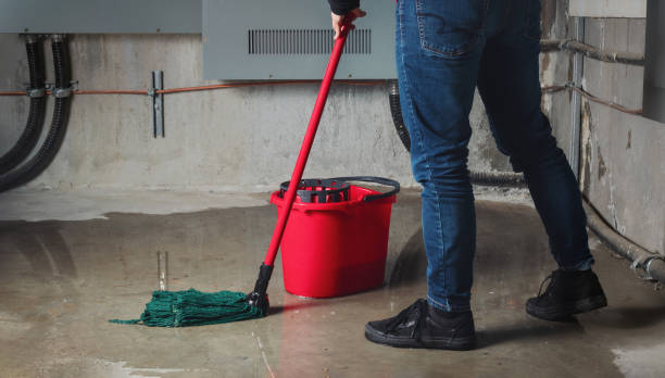 Best Ceiling water damage repair  in Allison Rk, PA