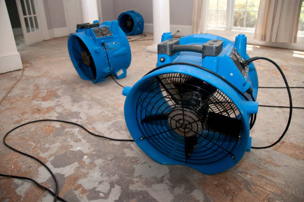 Best Commercial water damage restoration  in Allison Rk, PA