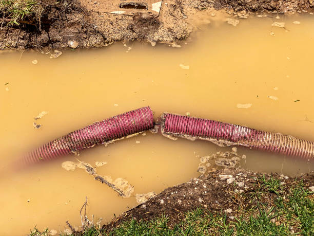 Best Basement water damage restoration  in Allison Rk, PA