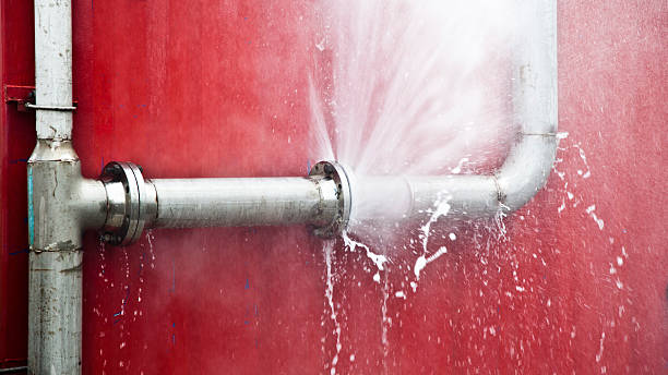 Best Carpet water damage restoration  in Allison Rk, PA